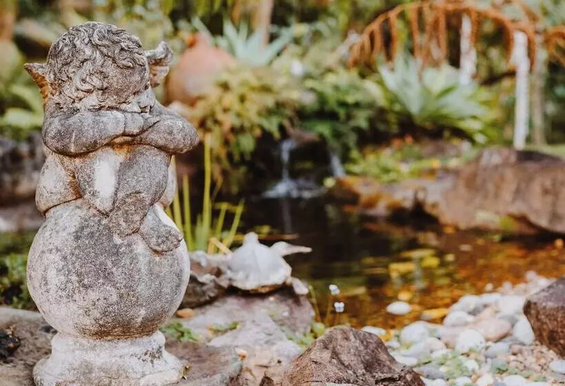 ホテル Noosa Valley Manor B&b