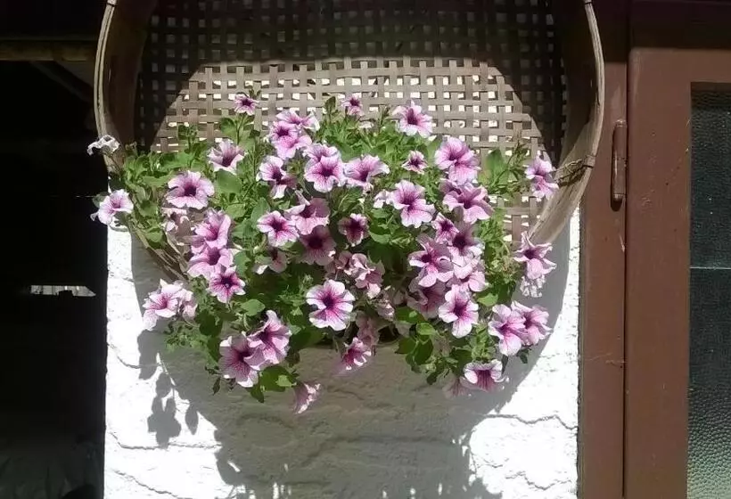 בית מלון כפרי Principe