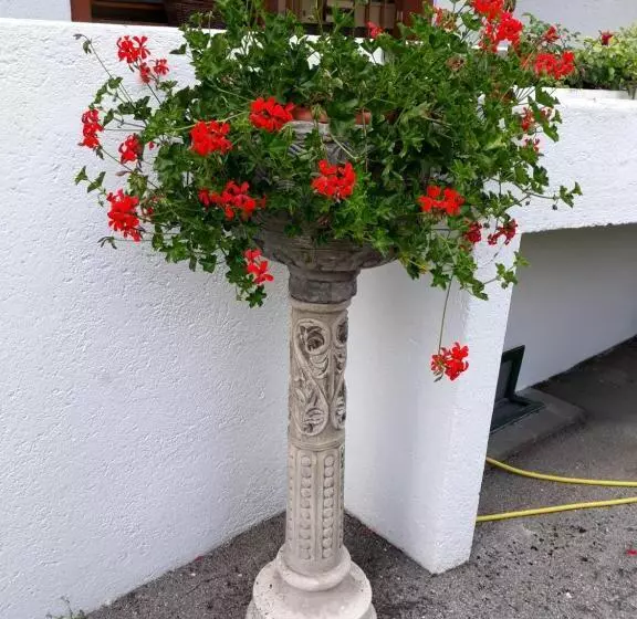 בית מלון כפרי Principe