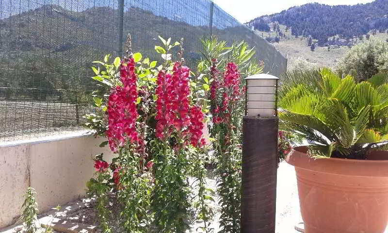 فندق Stergios Villa