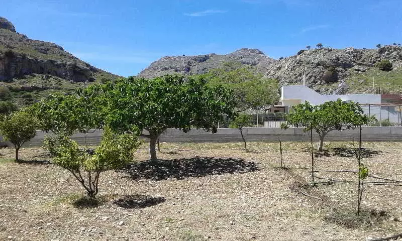 فندق Stergios Villa