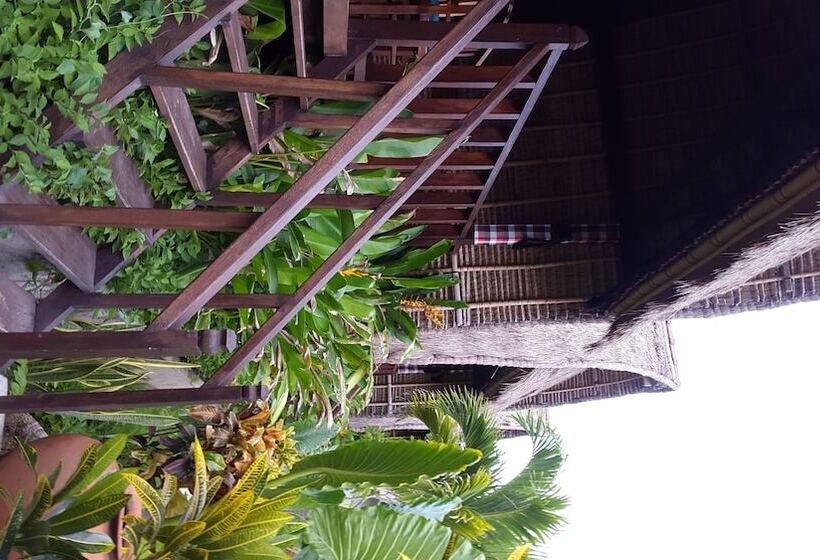 酒店 Sunset Coin Lembongan