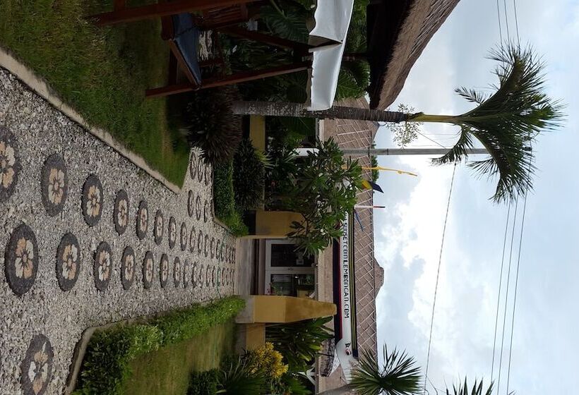 酒店 Sunset Coin Lembongan