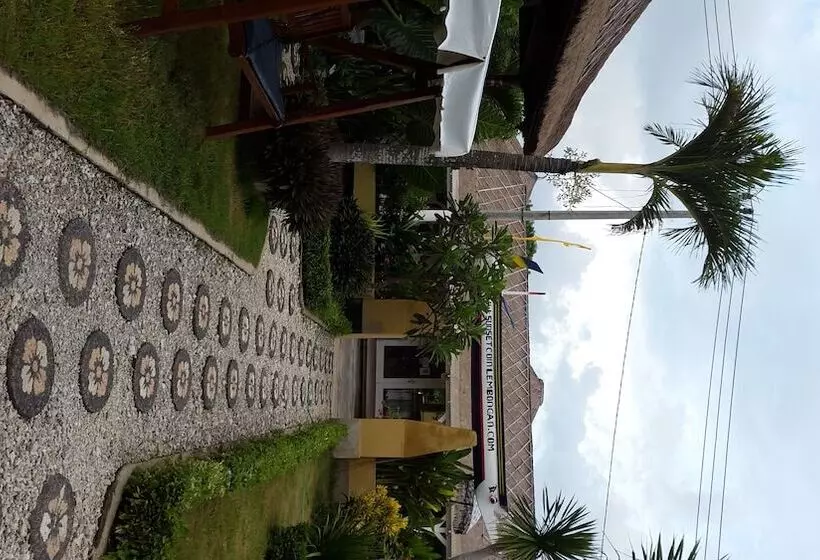 酒店 Sunset Coin Lembongan