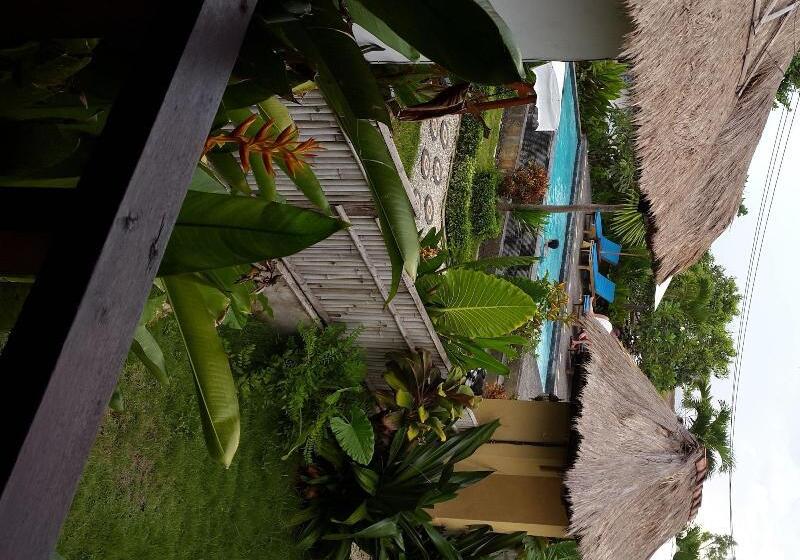 酒店 Sunset Coin Lembongan