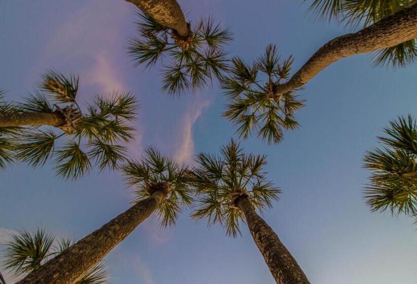 호텔 North Beach Village 27