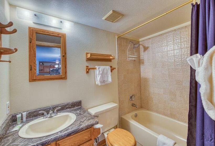 فندق Buffalo Village 306