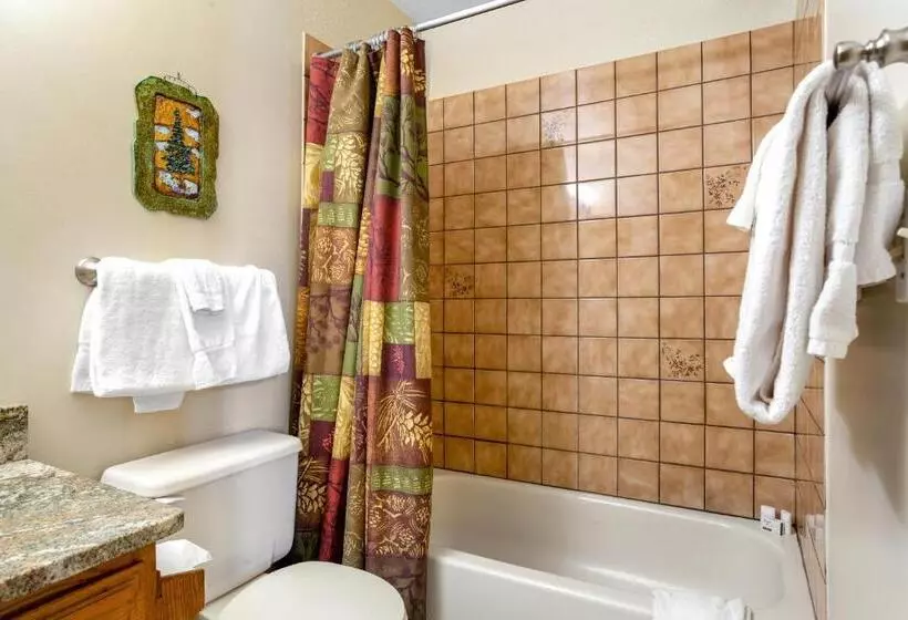 Hotelli Buffalo Village 306