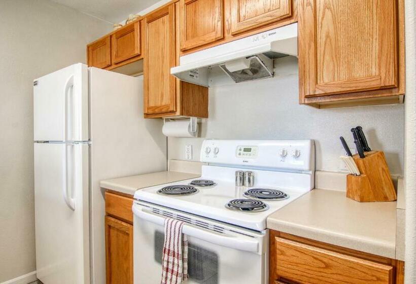 בית מלון כפרי Leeward 9303