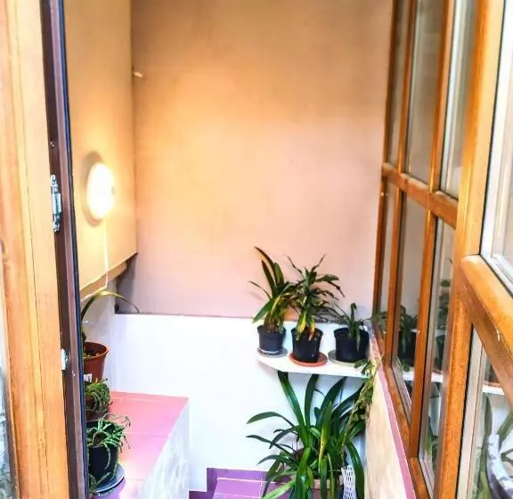 هاستل Central Guesthouse