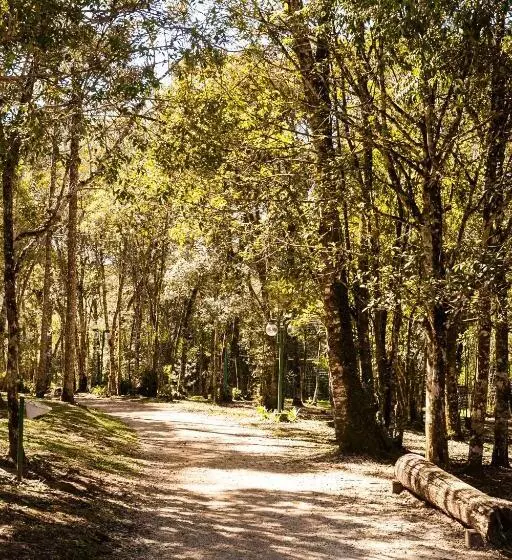 Отель Estancia Betania