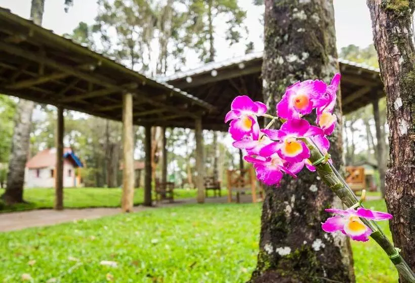 Отель Estancia Betania