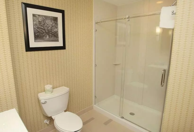 ホテル Holiday Inn Express & Suites Southport   Oak Island Area, An Ihg