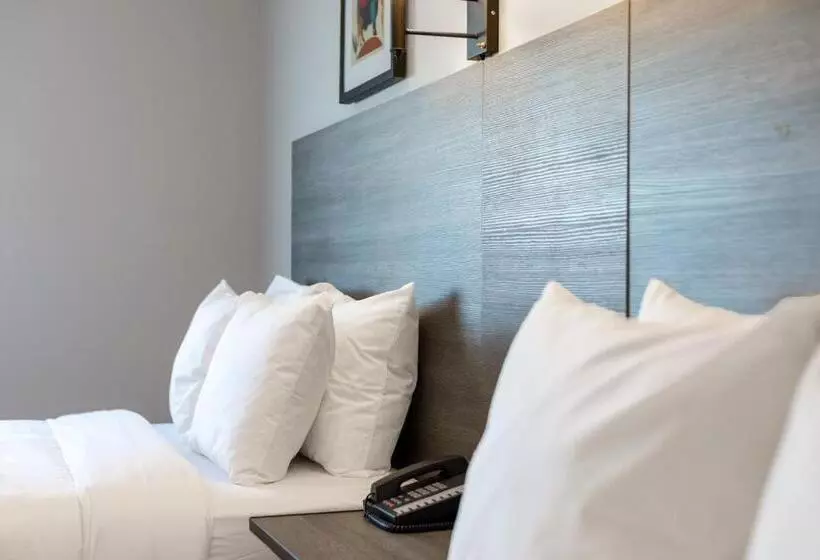 酒店 The Lodge Red Hook