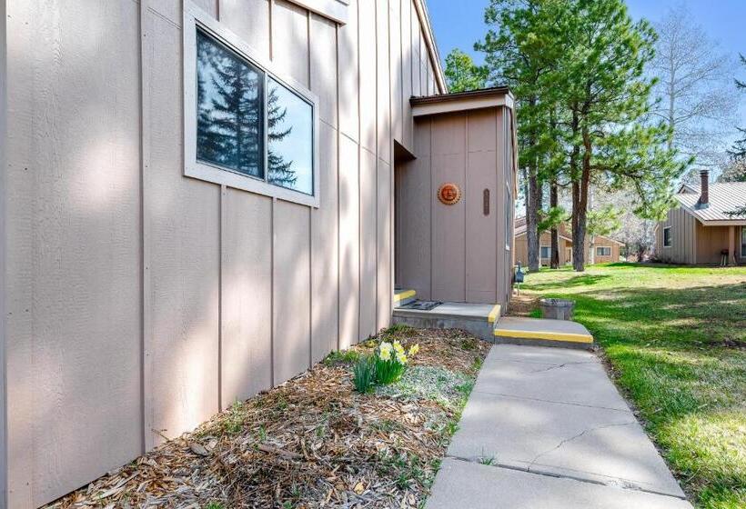 בית מלון כפרי Pines 4043