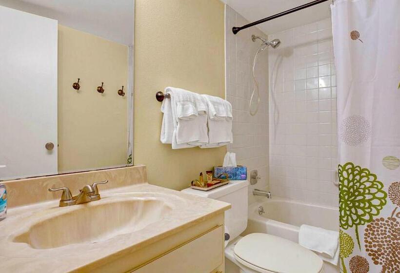 ホテル Quiet Waters 4b