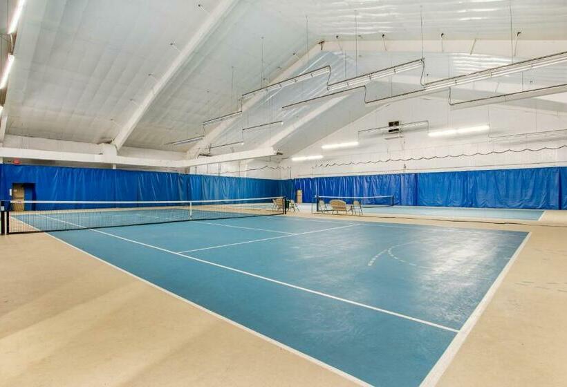 Hotelli The Evergreen