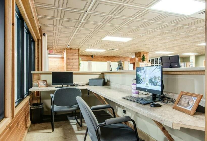 Hotelli The Evergreen