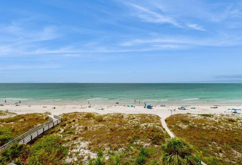 فندق The Pelican S Brief