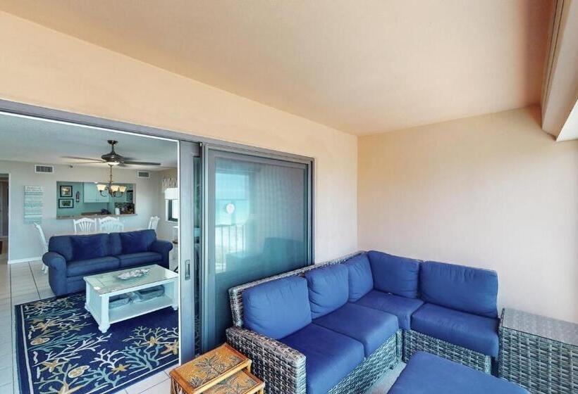 فندق The Pelican S Brief