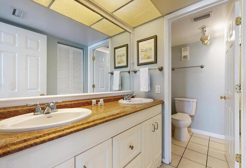 فندق The Pelican S Brief