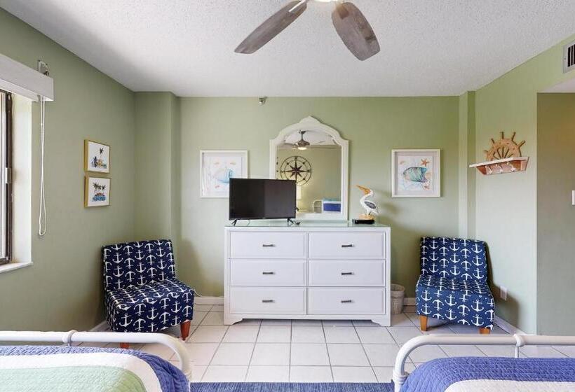 فندق The Pelican S Brief