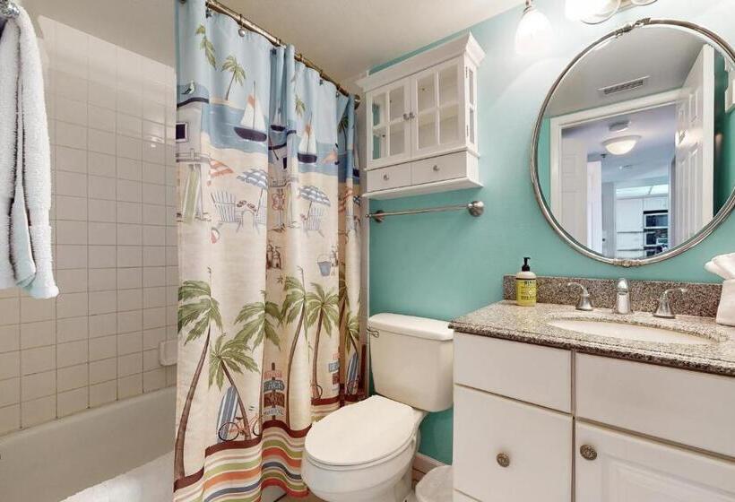 فندق The Pelican S Brief