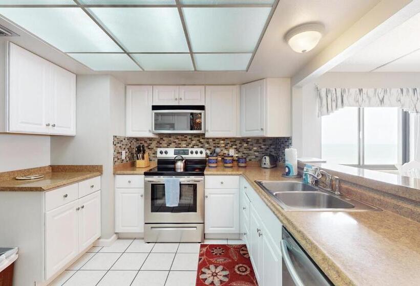 فندق The Pelican S Brief