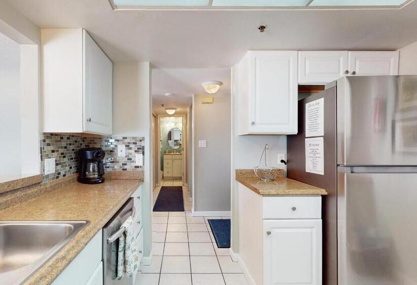 فندق The Pelican S Brief