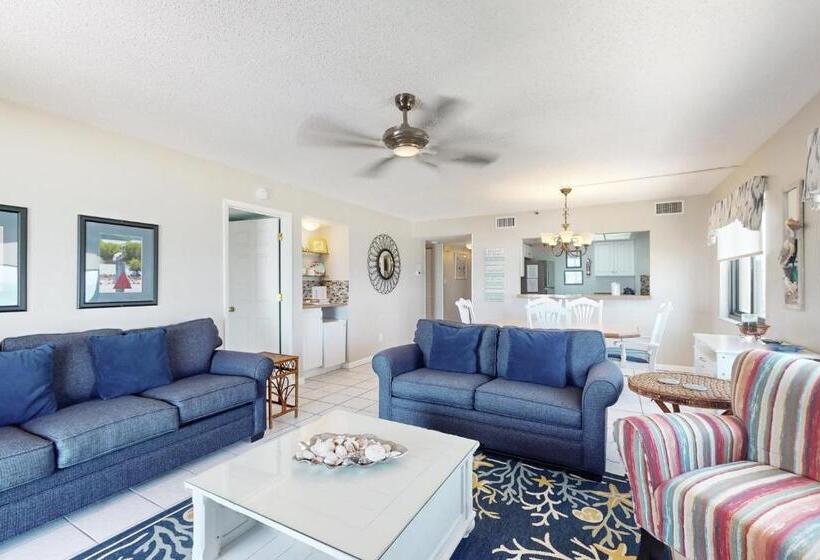 فندق The Pelican S Brief