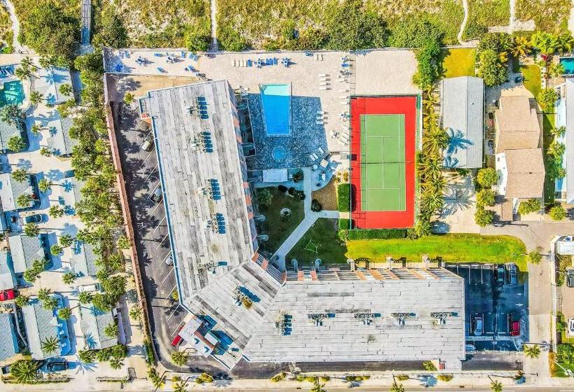 فندق The Pelican S Brief