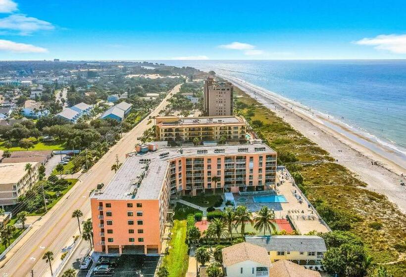 فندق The Pelican S Brief