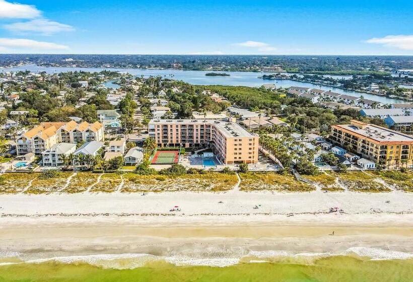 فندق The Pelican S Brief