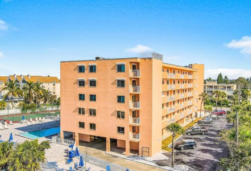 فندق The Pelican S Brief