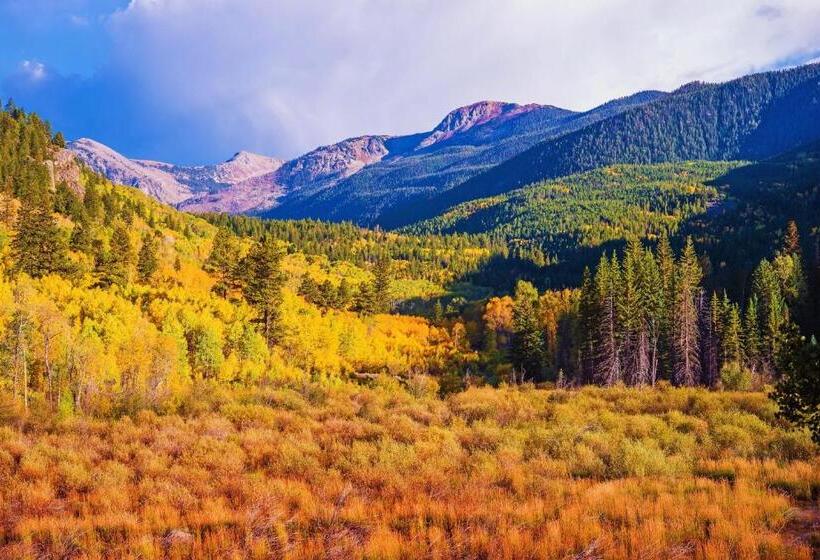 فندق Nottingham Nook