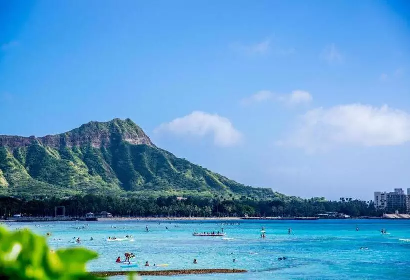 Hotelli Turtle Bay Resort 166
