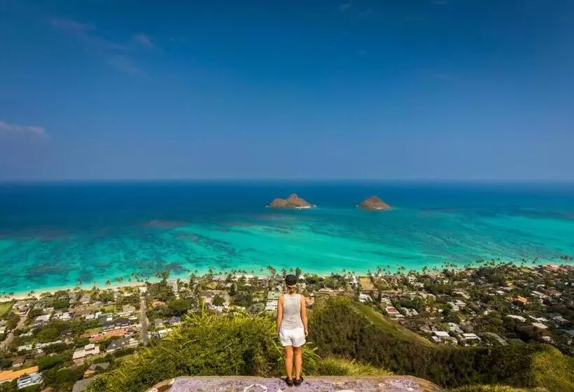 Hotelli Turtle Bay Resort 166