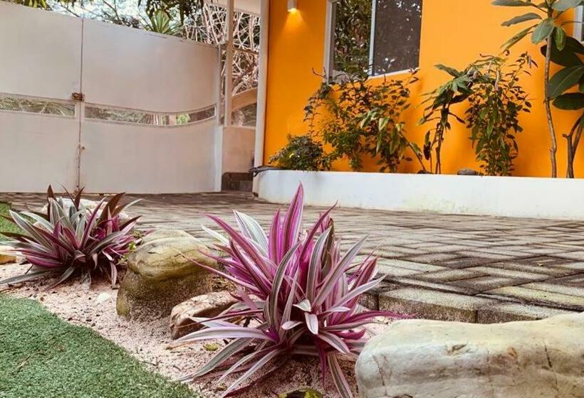 تختخواب و صبحانه Casa Luna San Juan