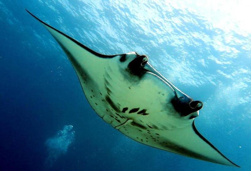 هتل Beach Cottage