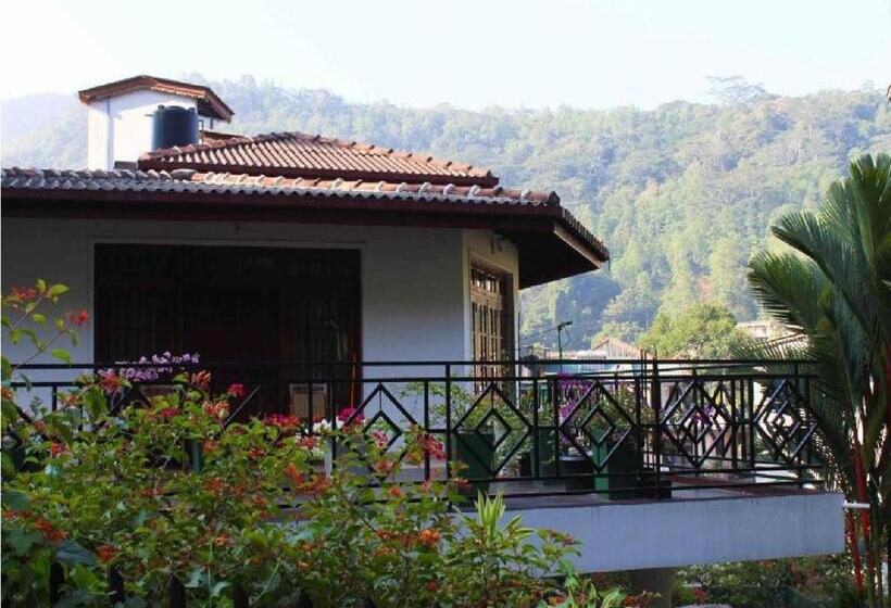 Pensão Kandy Bliss Lounge