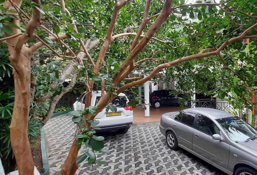 Pensão Kandy Bliss Lounge