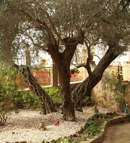 B&b Villa Casablanca