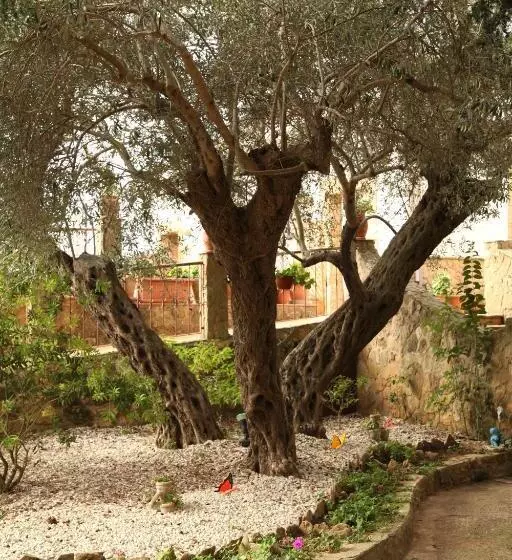 B&b Villa Casablanca