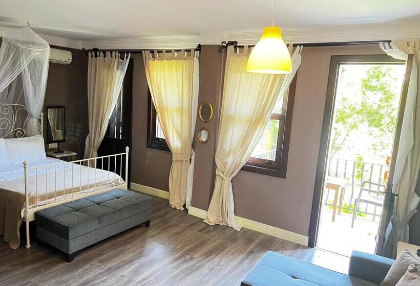 בית מלון כפרי Han Boutique