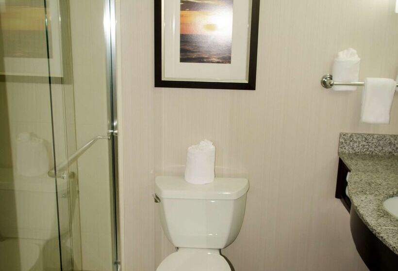 בית מלון כפרי Hilton Garden Inn Benton Harbor/st. Joseph