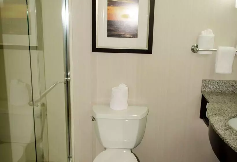 호텔 Hilton Garden Inn Benton Harbor/st. Joseph