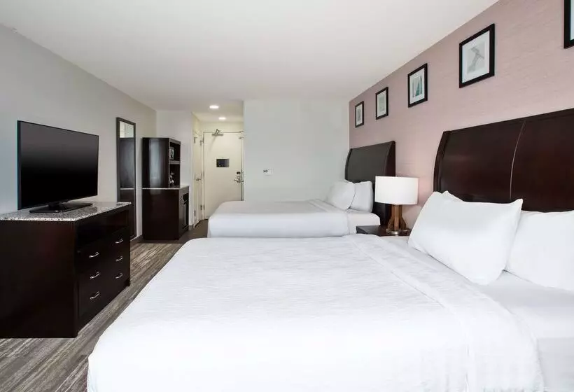 호텔 Hilton Garden Inn Benton Harbor/st. Joseph