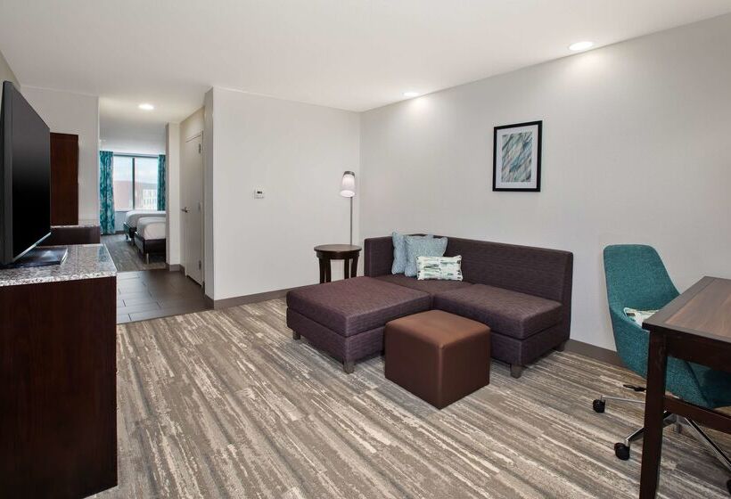 בית מלון כפרי Hilton Garden Inn Benton Harbor/st. Joseph