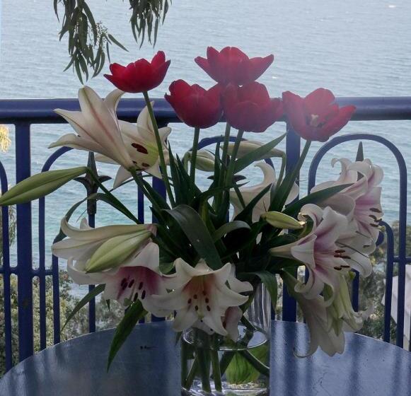 בית מלון כפרי La Villa Bleue Sidi Bou Said