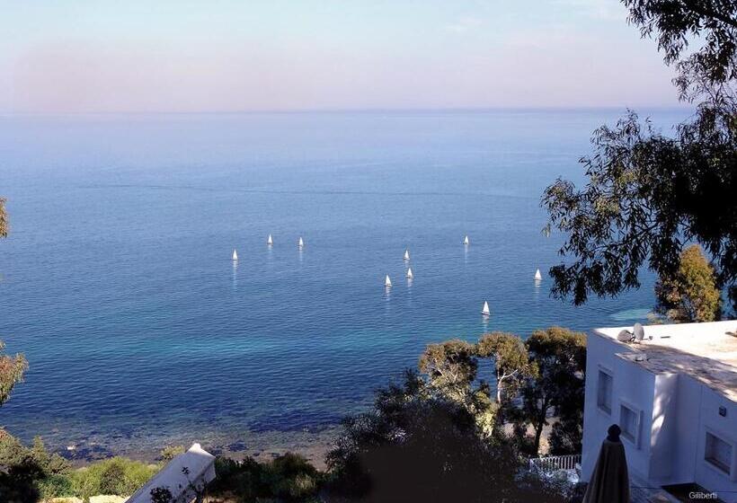 בית מלון כפרי La Villa Bleue Sidi Bou Said